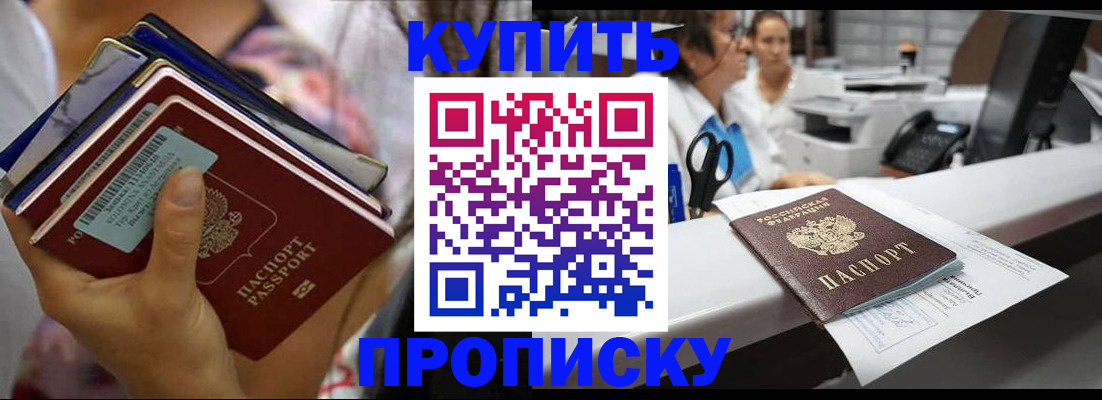 прописка для школы в Кудрово